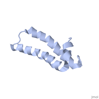 Goat anti-Human IgM (µ chain), F(ab)'2 fragment, ALP conjugated - 0.5mg