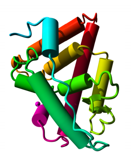 HTLV 1+2 Ab elisa kit, 96T
